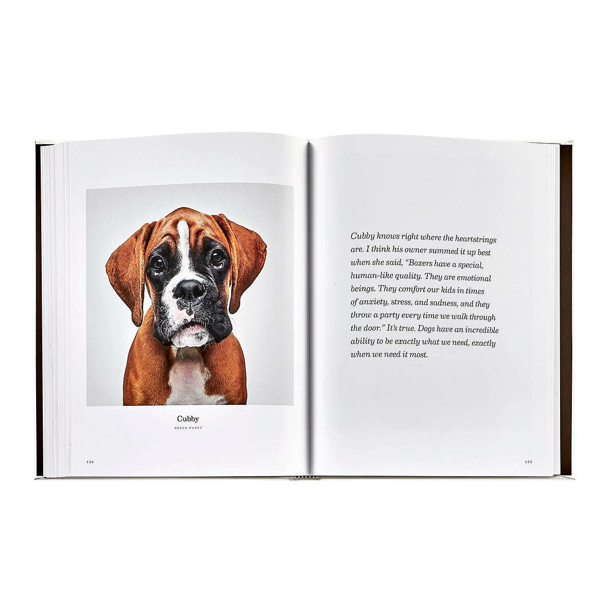 Good Dog: A Selection of Portraits by Randal Ford