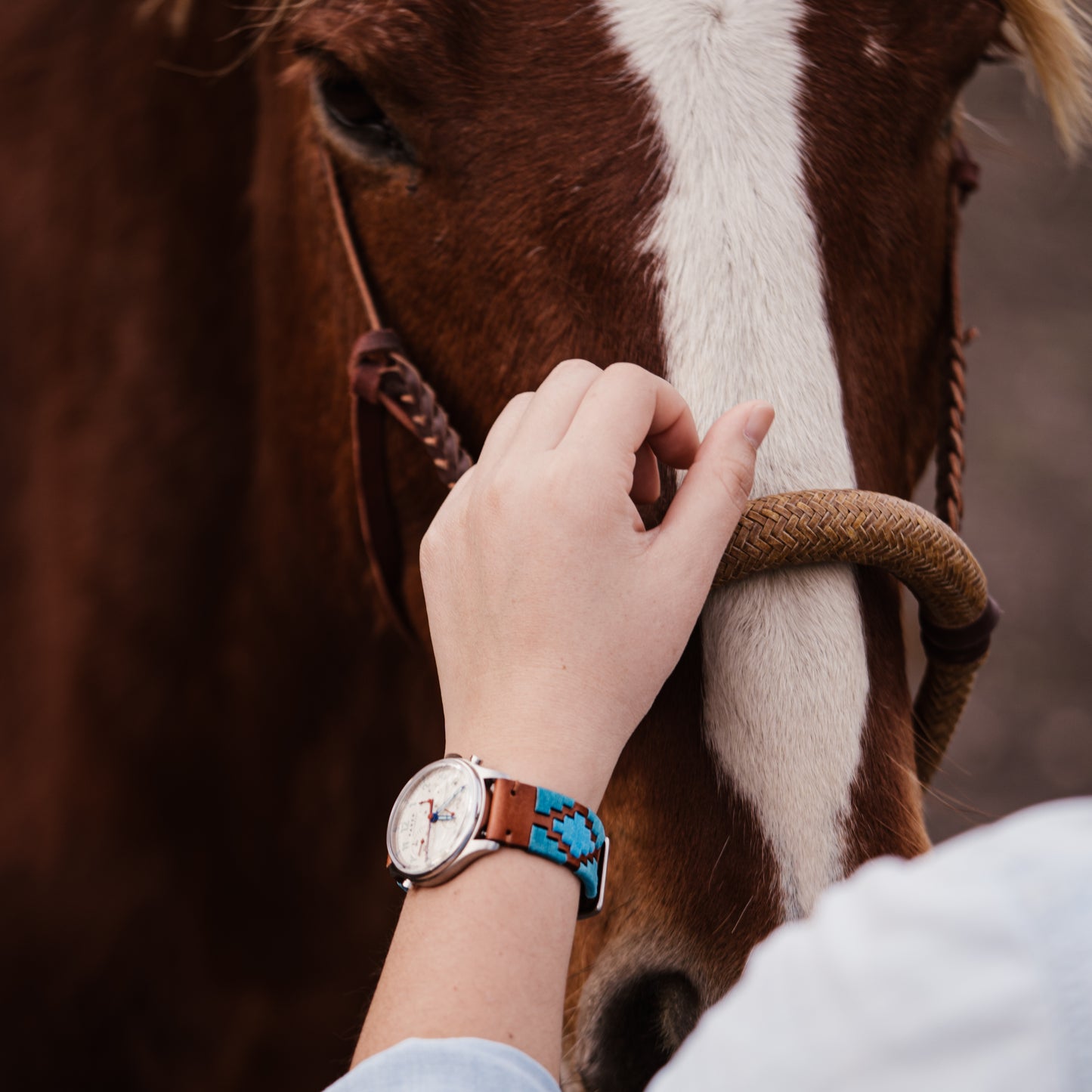 Turquoise & Sky | Gaucho - Barton Watch Bands