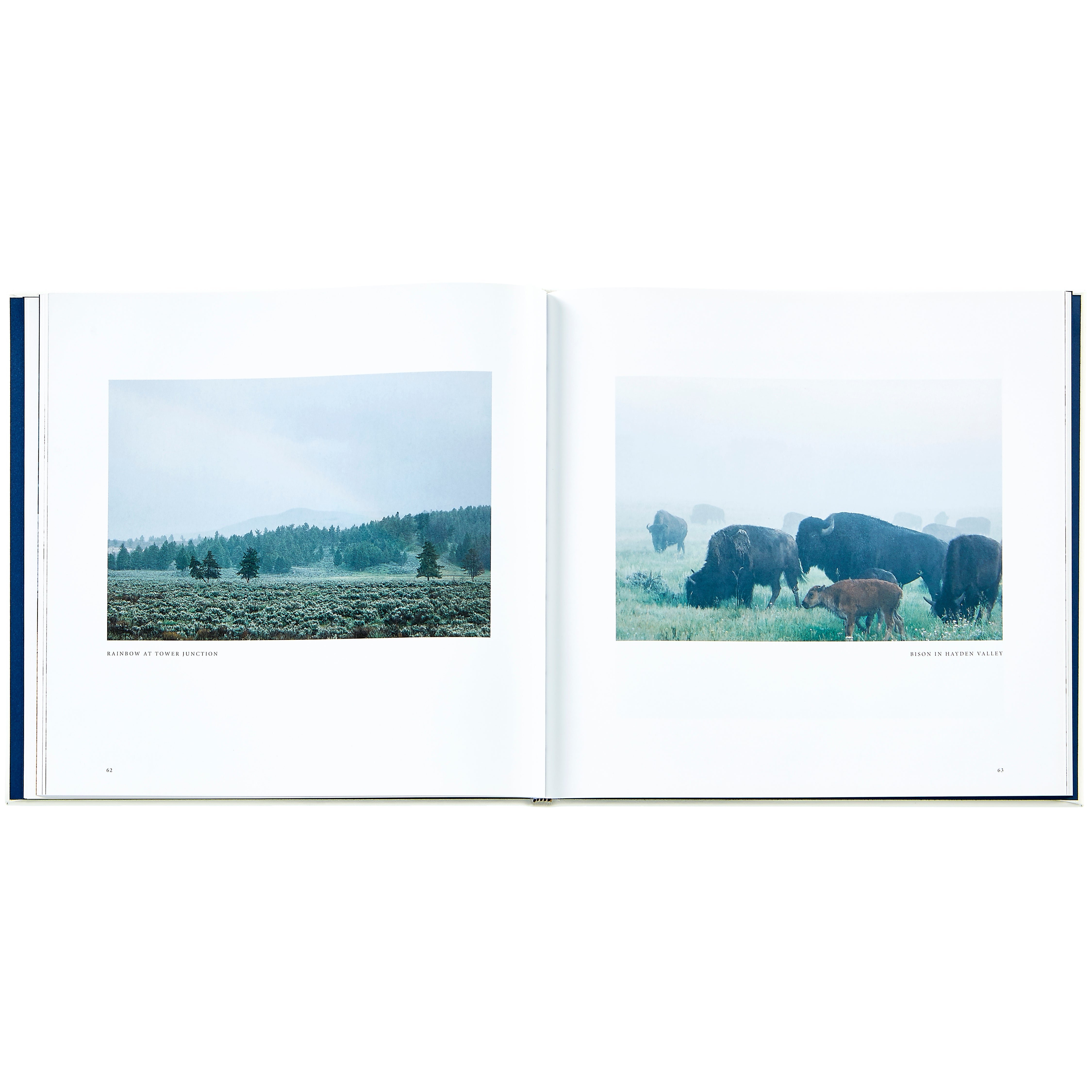 Yellowstone: A Land of Wild and Wonder – Barton Watch Bands