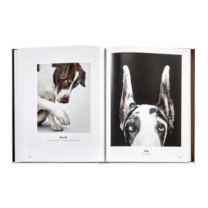 Good Dog: A Selection of Portraits by Randal Ford