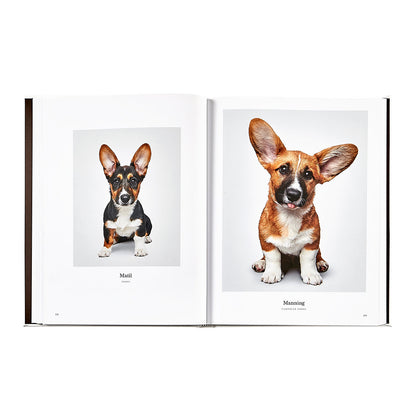 Good Dog: A Selection of Portraits by Randal Ford